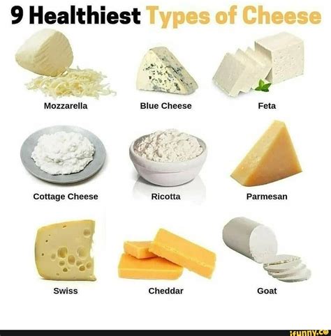 9 Healthiest Types of Cheese Blue Cheese Mozzarella Cottage Cheese ...