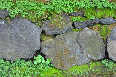 Free photo: Pile of Rocks - Green, Moss, Nature - Free Download - Jooinn