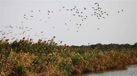 [SALE] Nansha Wetland Park in Guangzhou - Ticket KD