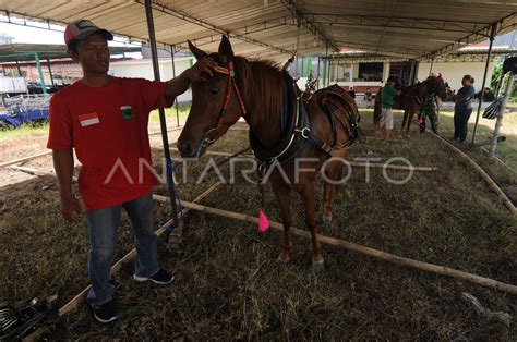 PERSIAPAN KERETA KUDA UNTUK PERNIKAHAN KAESANG-ERINA | ANTARA Foto