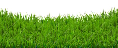 Premium Vector | Grass border