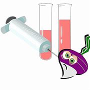 Free vector graphic: Syringe, Tubes, Lab, Laboratory - Free Image on Pixabay - 24495