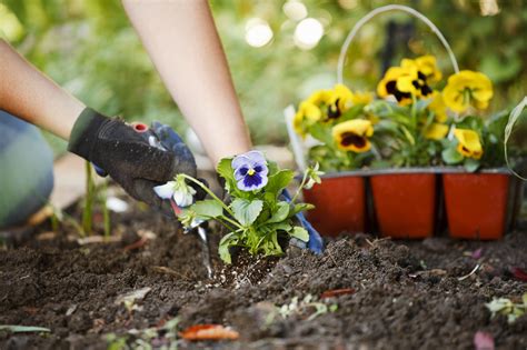 Landscaping Birmingham - Getting Ready to Plant Flowers