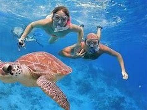 San Juan Snorkeling Tour | San Juan Tours