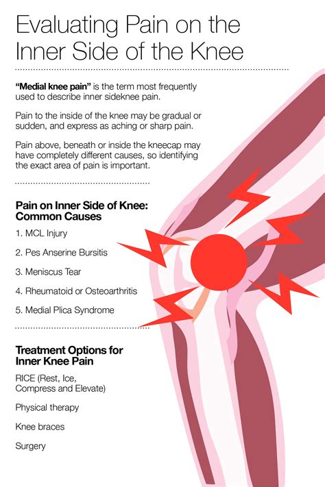 Pain on Inner Side of Knee: What Could It Mean? – The Amino Company