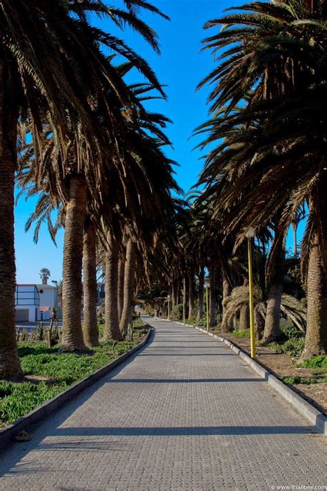 Swakopmund Activities | 18 Cool Things To Do In Swakopmund Namibia | ItsAllBee | Solo Travel ...