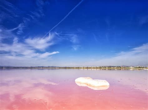 The Pink Salt Lakes of Torrevieja