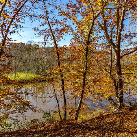 James River National Wildlife Refuge - The Best Part of Virginia