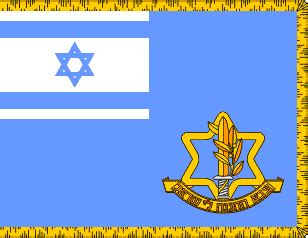 Israel Defense Forces