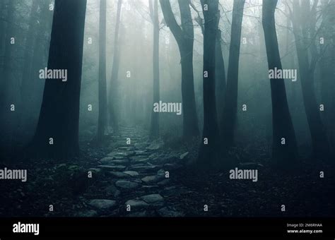 Dark misty forest in autumn digital illustration Stock Photo - Alamy