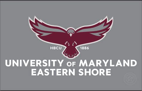 Maryland-Eastern Shore Hawks Logo - Primary Dark Logo - NCAA Division I ...