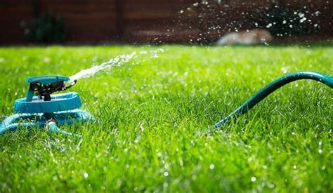 When is the Best Time to Water Your Lawn? | Yard and Garden Guru