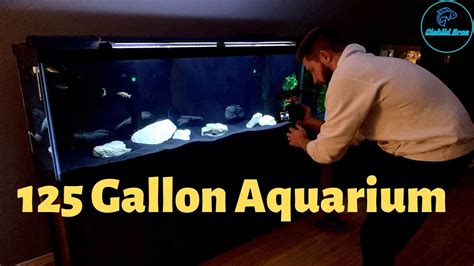 125 Gallon Aquarium - The Complete Setup | Predator Haps! - YouTube