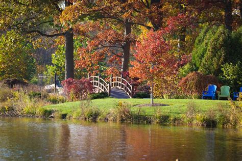 Dry Days – Wellfield Botanic Gardens