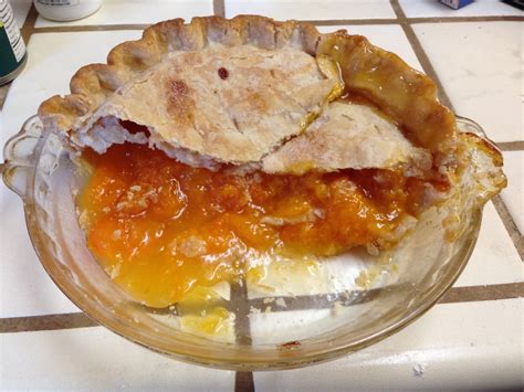 Fresh Apricot Pie Recipe - Food.com