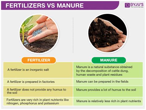 Manure Fertilizer