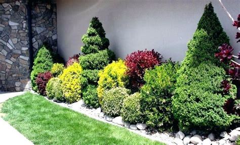 Small Bushes For Front Yard Small Bushes For Front Of House Landscaping ...