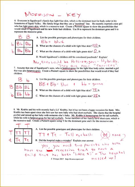 ️Genotype Vs Phenotype Worksheet Answers Free Download| Goodimg.co