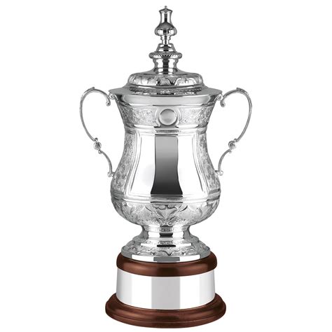 Looks-a-like FA Cup- Quality Trophies from OnlineTrophies