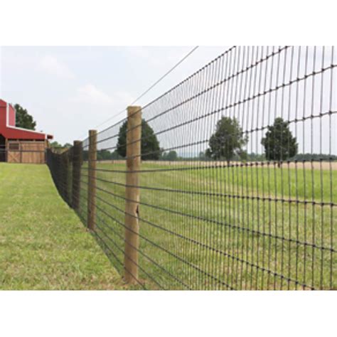 Bekaert 48" NON CLIMB HORSE FENCE - 100' | WRS