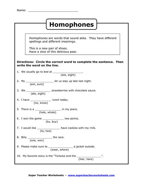 Homophones And Homographs Worksheets Grade 5