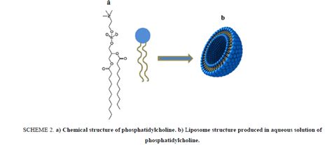 Simple Method for the Demonstration of Drug-Loaded Nano-Liposomes