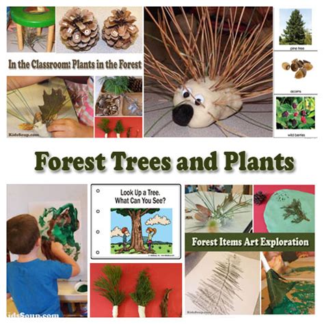 Into the Forest Preschool Weekly Plan and Activities | KidsSoup