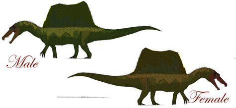 Male and Female Spinosaurus color schemes by Keegz97 on DeviantArt