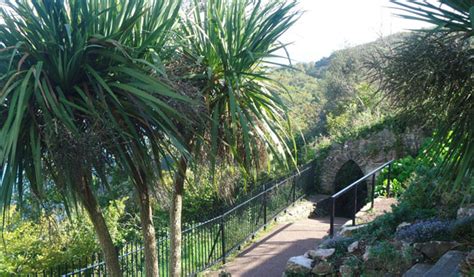 Torquay Visitor Guide by Holidays in the UK | Holidays in the UK