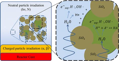 Depiction of proton gradient formation arising across micropores ...