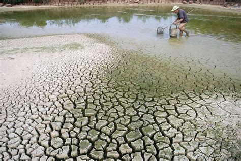 Desertification and Drought Day highlights concerns about loss of land - Vietnam Water Portal