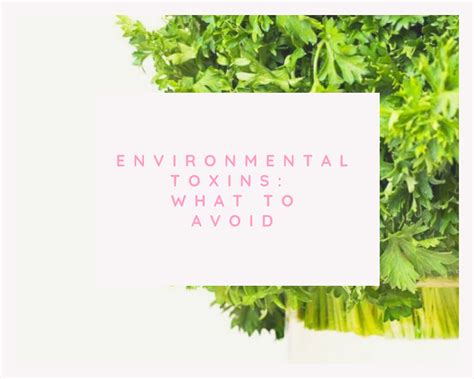 ENVIRONMENTAL TOXINS: WHAT TO AVOID - plants love and wellness