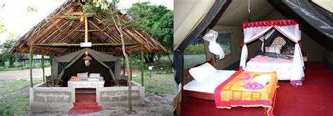 Masai Mara Budget Lodges Hotels Tented Safari Camps | Accommodation