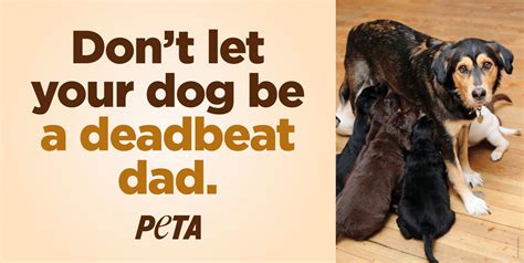 Ballsy New ‘Deadbeat Dad’ Ad Hits Texas for Father’s Day | PETA