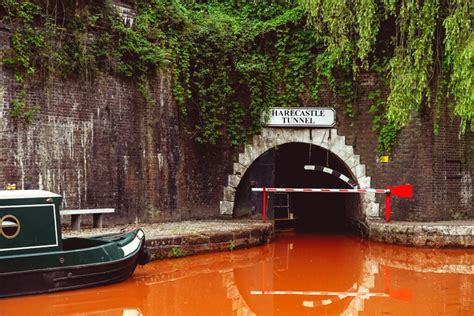 Kidsgrove Canal Nature Recovery Blog #1 - Appetite