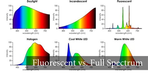 Improve Your Eyesight - How Fluorescent Light KILLS Your Vision | Led ...