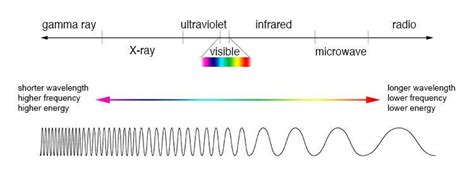 Which type of wave has the longest wavelength? Gamma rays Ultraviolet rays Visible light ...