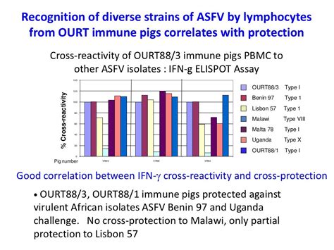 Current approaches for African swine fever virus vaccine development