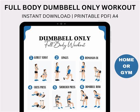 Full Body Dumbbell Workouts | lupon.gov.ph