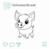 21 Cerdo Para Colorear  Imágenes Gratis sketch template