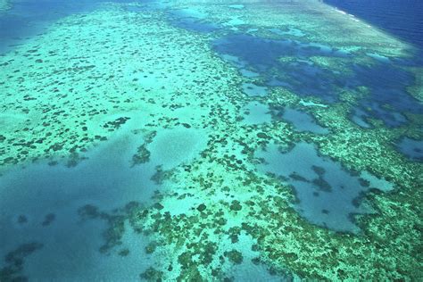 Aerial View Of The Great Barrier Reef Photograph by Miva Stock - Fine ...