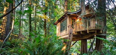 The best tree house hotels from around the world