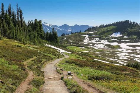 6 Best Mount Rainier Hikes & Trails | The National Parks Experience