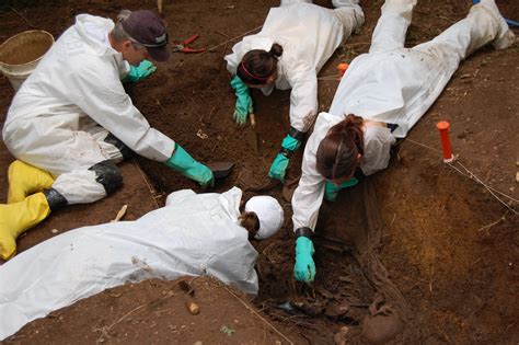 Amsterdam to host Europe's first 'forensic cemetery' | Science | AAAS