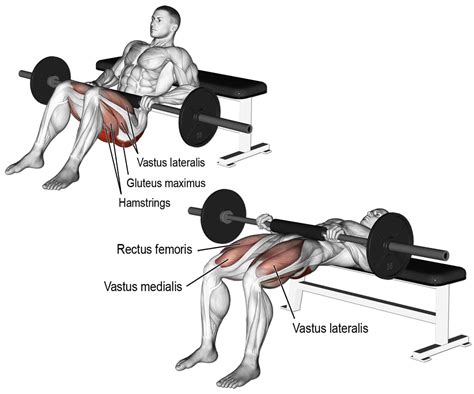 The Best Glute Ham Raise Alternatives For A Stronger Posterior Chain – Fitness Volt