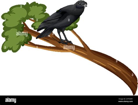 Crow standing on tree branch illustration Stock Vector Image & Art - Alamy