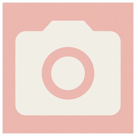 Logo Camera Icon Aesthetic Pink - Goimages Voice