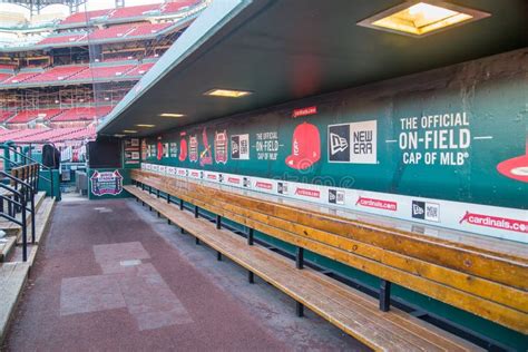 Baseball Dugout Stock Images - Download 1,250 Royalty Free Photos