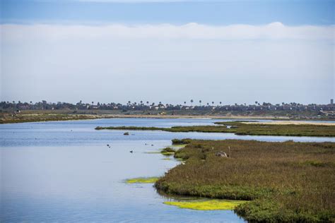 Local effort to preserve, protect Bolsa Chica wetlands gets $2M - Los Angeles Times