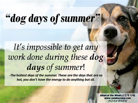 Idiom of the Week (금주의 숙어): Dog Days of Summer | Idioms, Dog days, Day